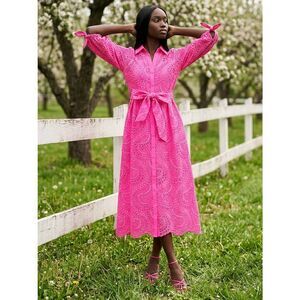 🩵NWT Lilly Pulitzer Pink Isle Amrita Swirly Fern Scalloped Eyelet Dress Size 2
